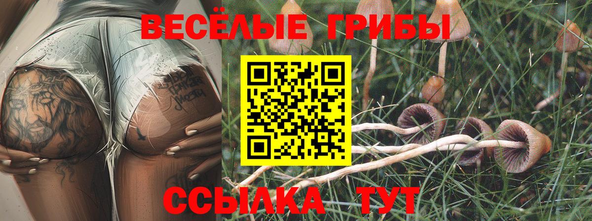 Борисоглебск  где продают   Вход с VPN  Галлюциногенные грибы MAGIC MUSHROOMS 