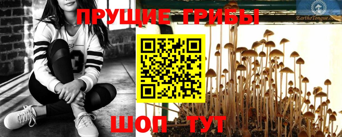 Галлюциногенные грибы Magic Shrooms Борисоглебск